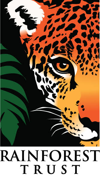 Rainforest Trust leopard illustration